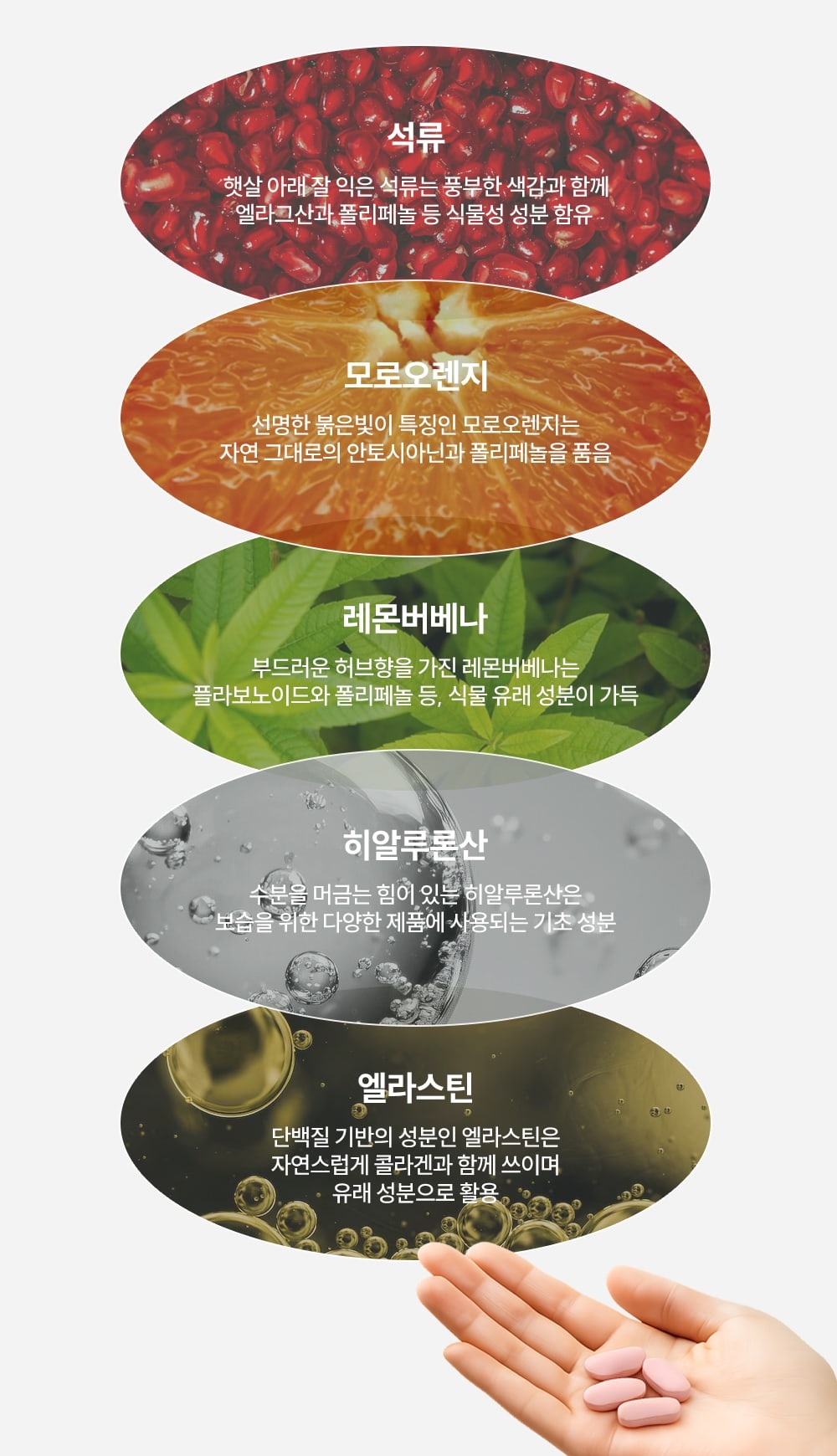 5 Supporting synergy ingredients from pomegranate to hand model