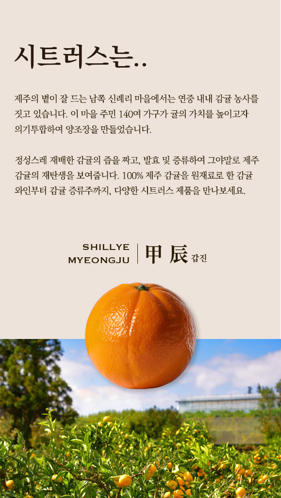 생산지 소개